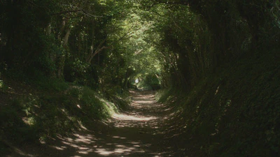 Course测试 featured image