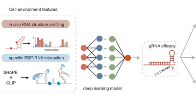 🎉 Our new research SCALEL featured image