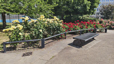 英国的花开了 featured image